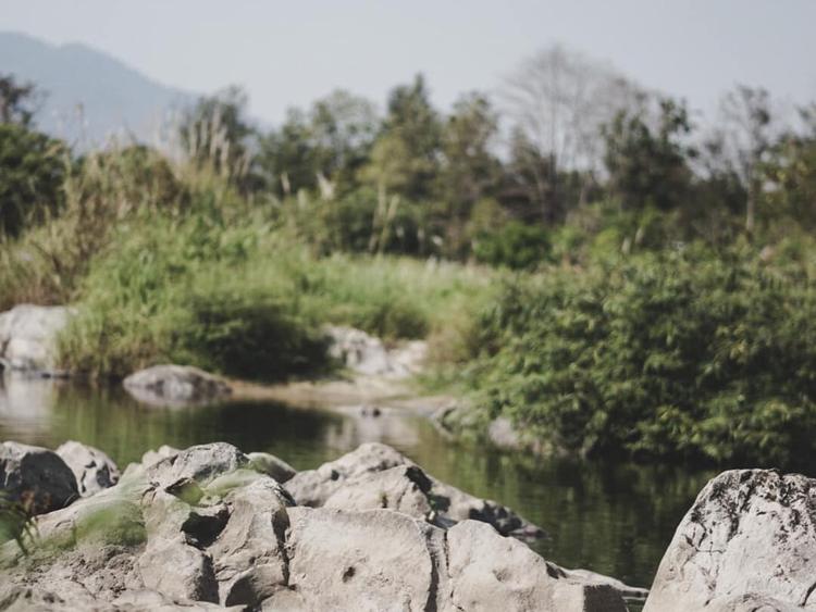 Kaeng Koh Yai