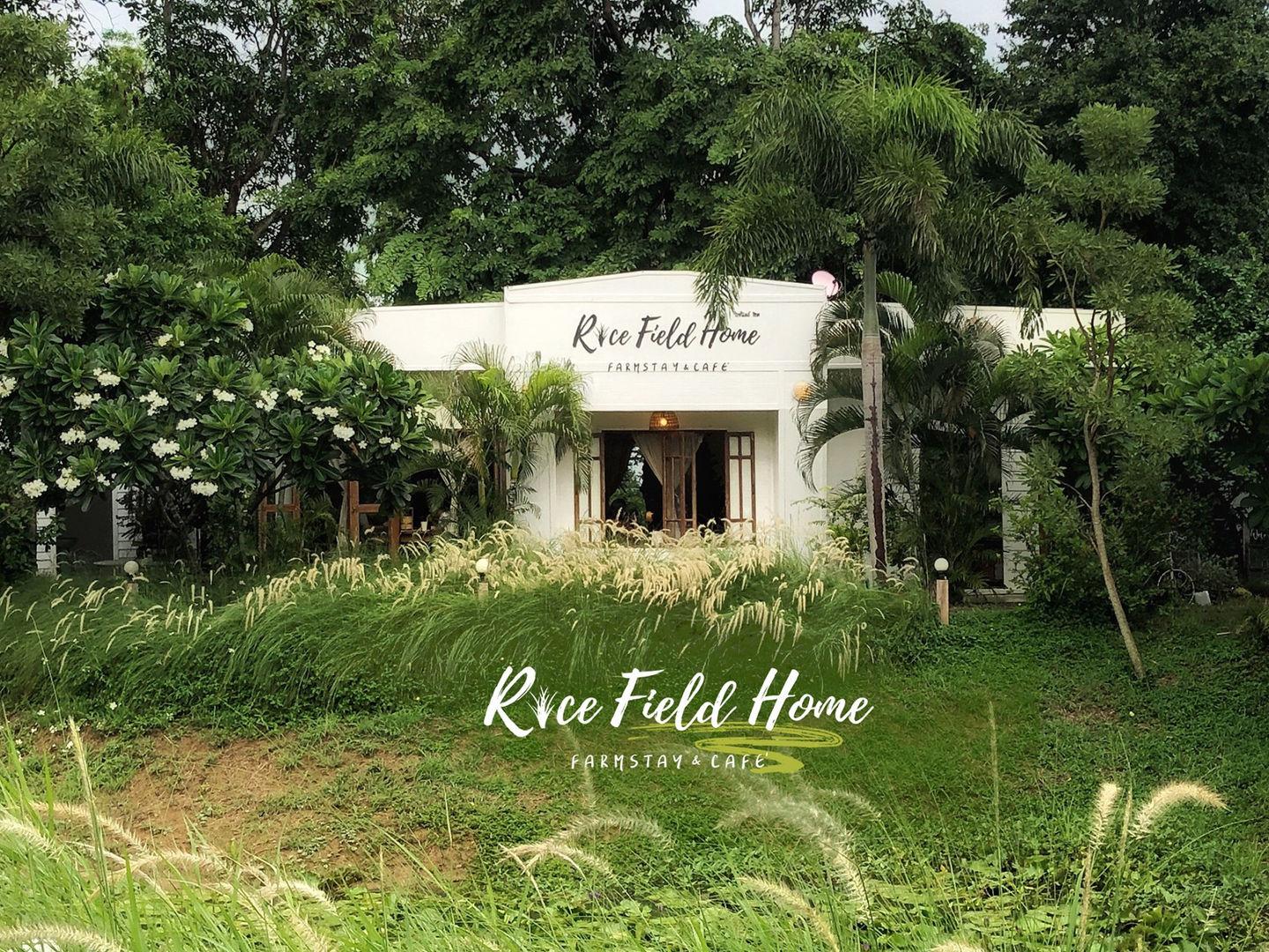 rice field home farmstay