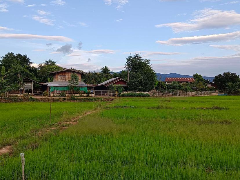 สุขเสมอดาว ณ บ้านหนอง