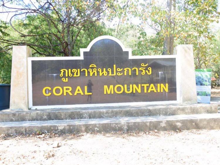 Coral Mountain