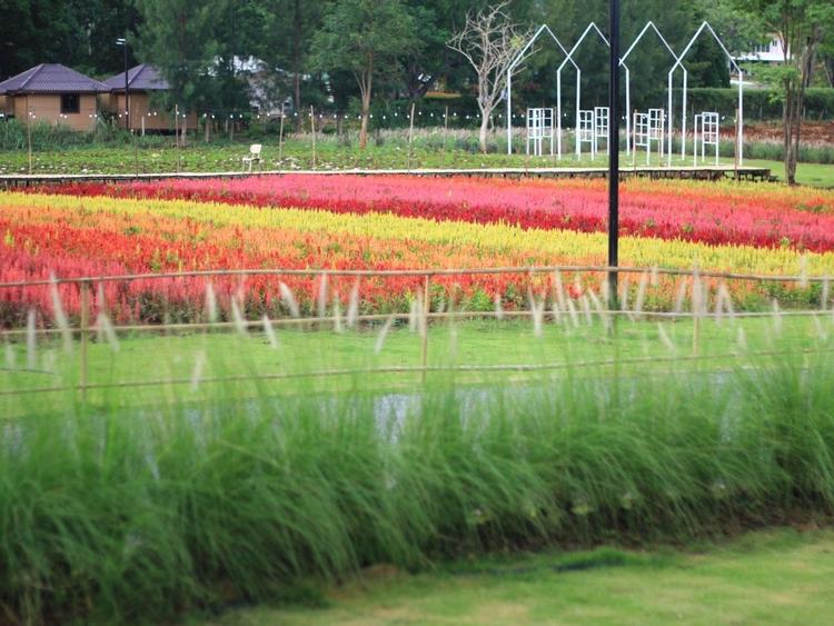 Flowers Village Khaoyai