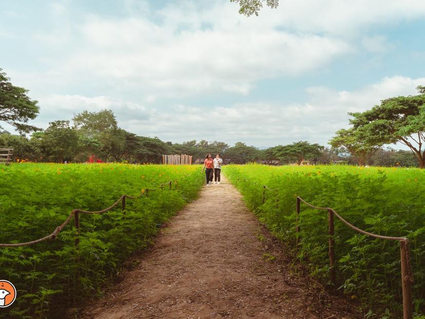 จิม ทอมป์สัน ฟาร์ม (Jim Thompson Farm)