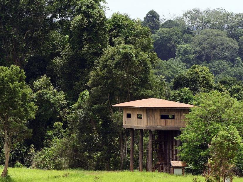 Nong Phak Chi Animal Observatory