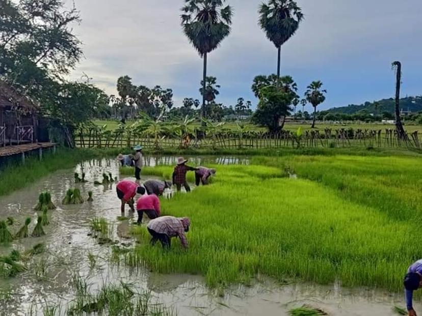 Na Boon Fragrant Rice