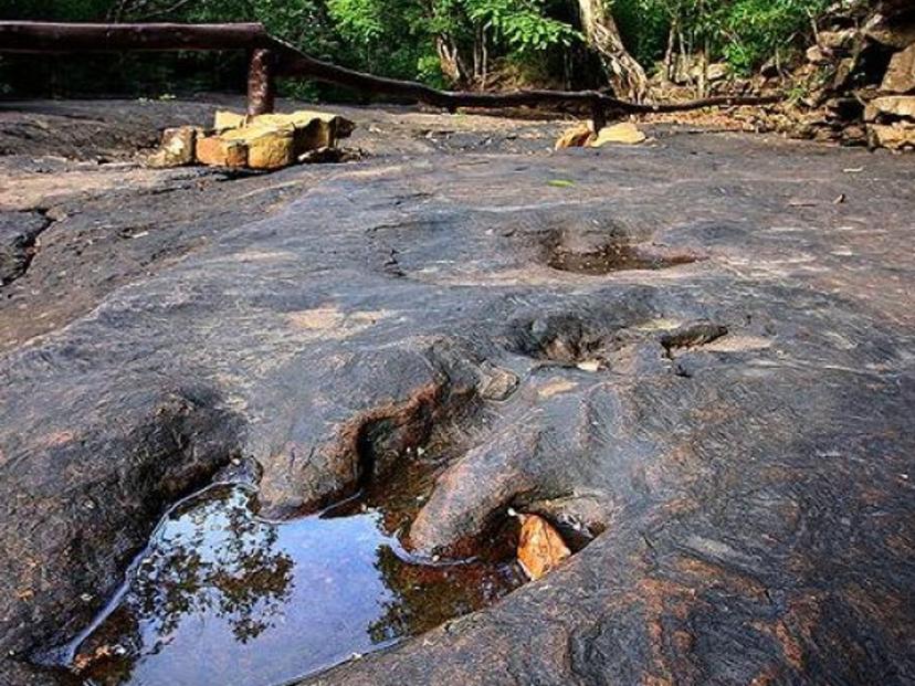 Phu Nam Chan Forest Park