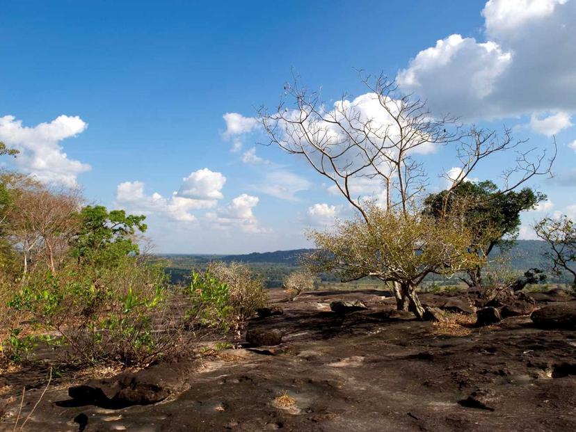 Phu Sa Dok Bua National Park