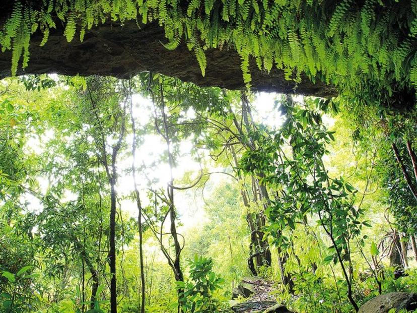 Three thousand year cliff carvings at Phuphaon