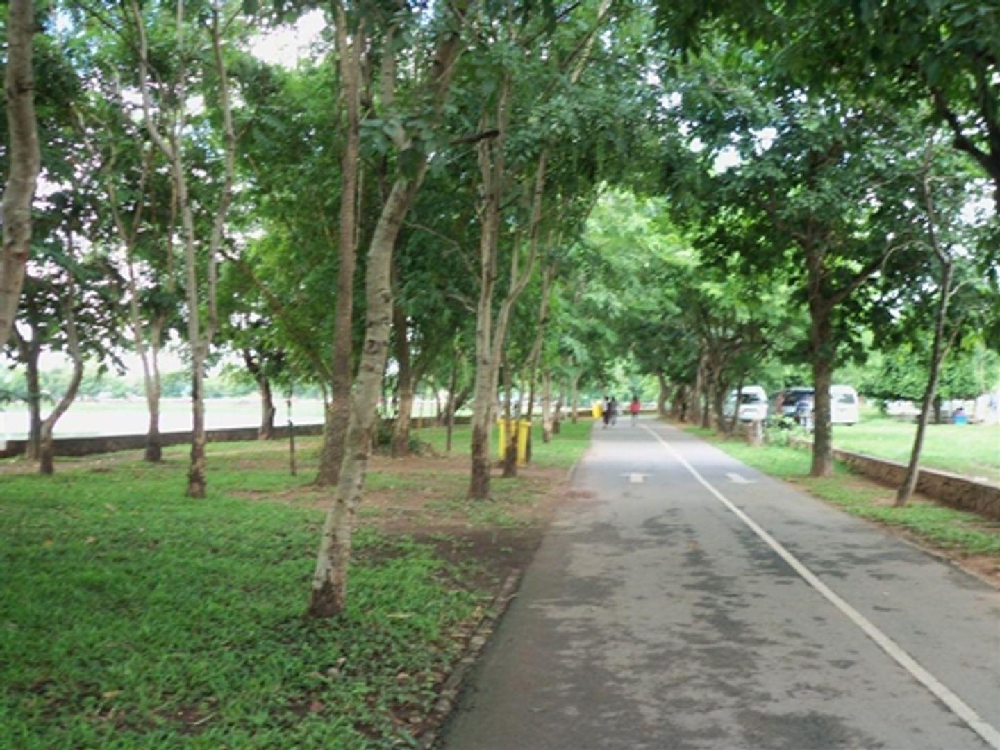 Nong Bua Public Park