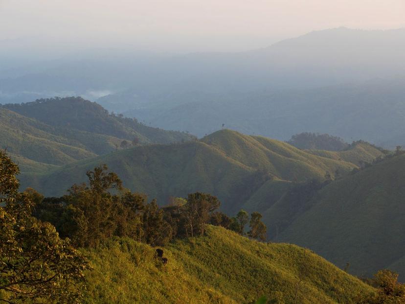 Mae Wong National Park