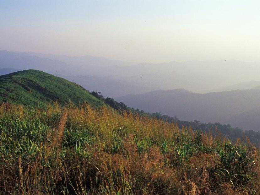 Mae Tuen Wildlife Sanctuary