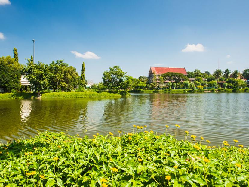 Mani Banpot Swamp