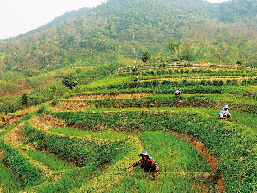 Agricultural Development Station at Phu Phayak Royal Initiative