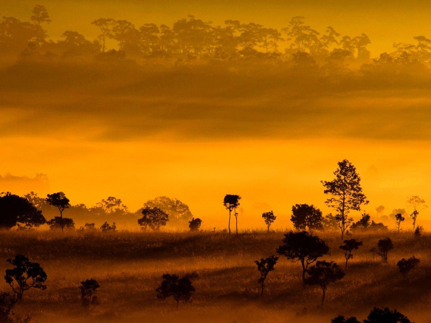 Thung Salaeng Luang National Park