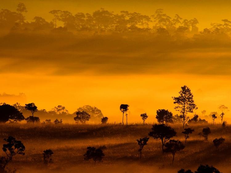 Thung Salaeng Luang National Park