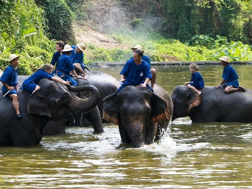 Thai Elephant Conservation Center and Thung Kwian Forest Park