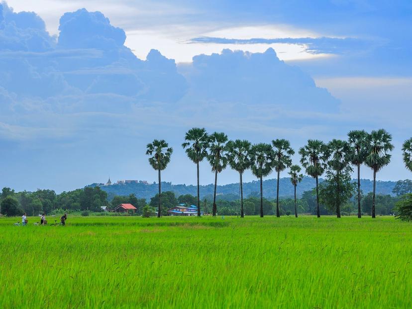 Koh Thepho