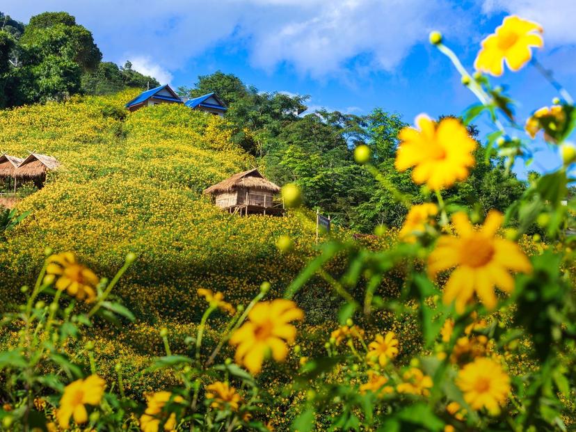 Doi Hua Mae Kham