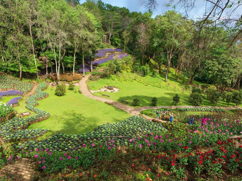 Mae Fah Luang Arboretum, Doi Chang Mup