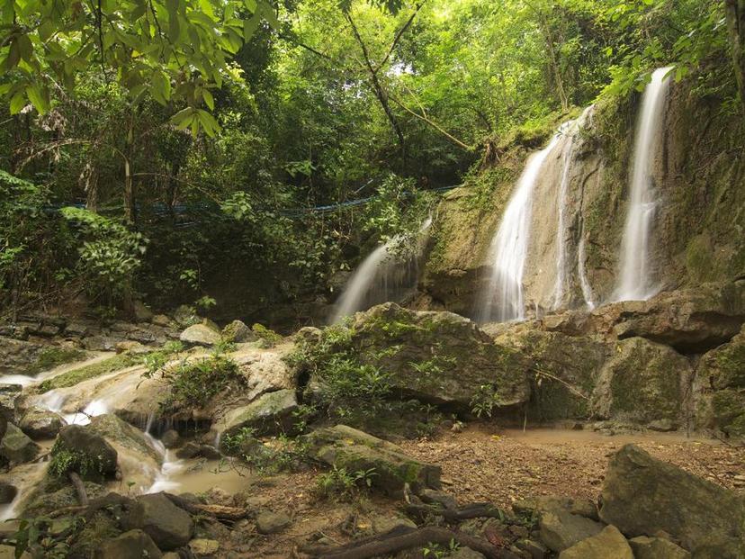 Sub Chomphu Arboretum