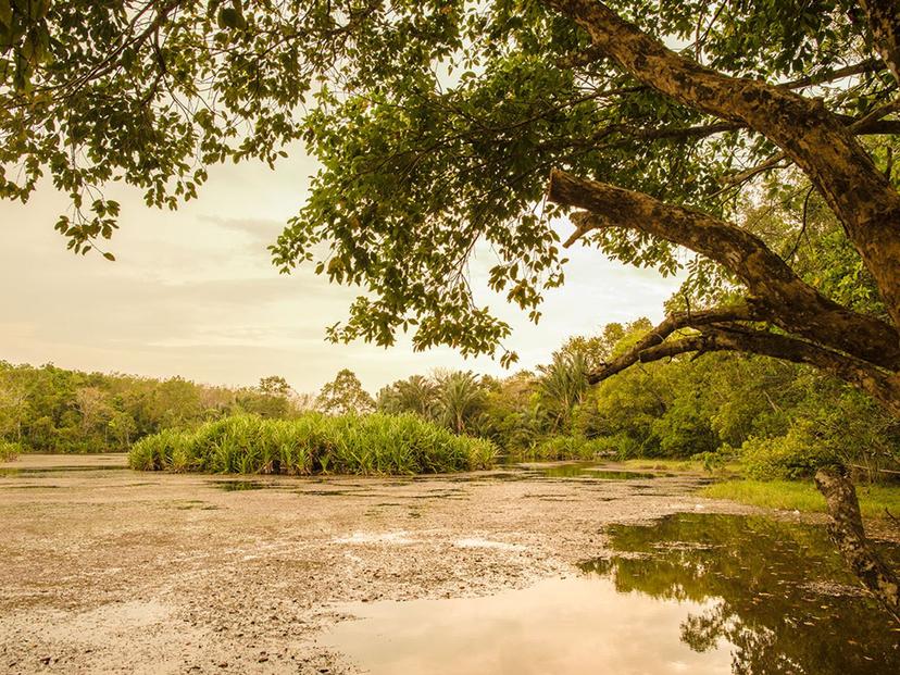 Khlong Lam Chan Non-Hunting Area