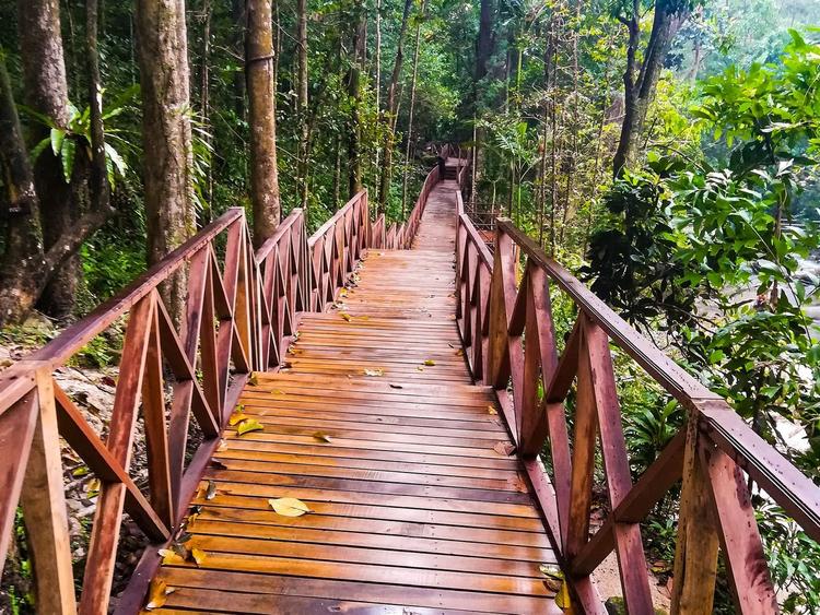 อุทยานแห่งชาติบูโด-สุไหงปาดี Budo Su ngai Padi National Park