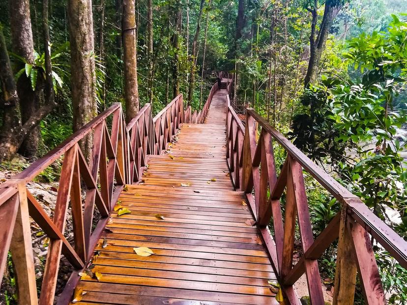 อุทยานแห่งชาติบูโด-สุไหงปาดี Budo Su ngai Padi National Park