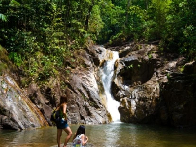 Ton Pariwat Wildlife Sanctuary