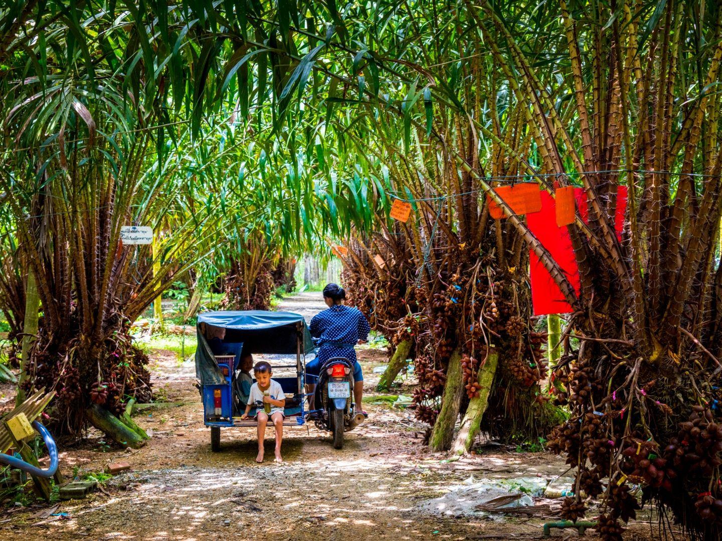 Conservative agricultural tourism, Sala Lung Tan Garden