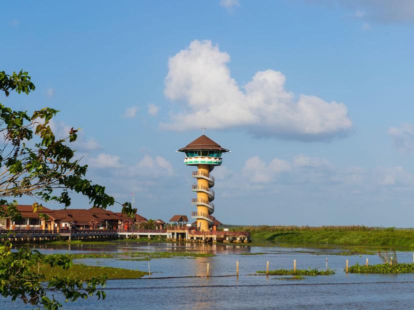 Viewpoint Tower at Thale Noi Nature and Wildlife Education Center