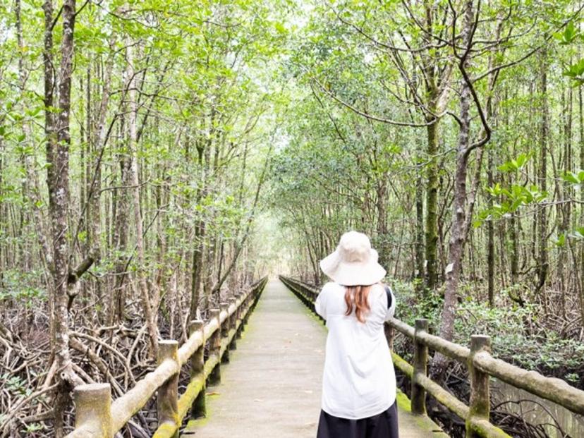 Ngao Mangrove Forest Research Center (Mangrove Forest Research Center, Ranong Province)