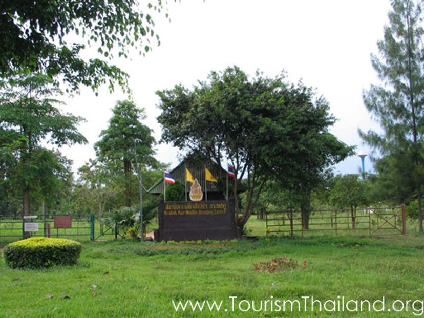 Twin Krab Wildlife Breeding Station