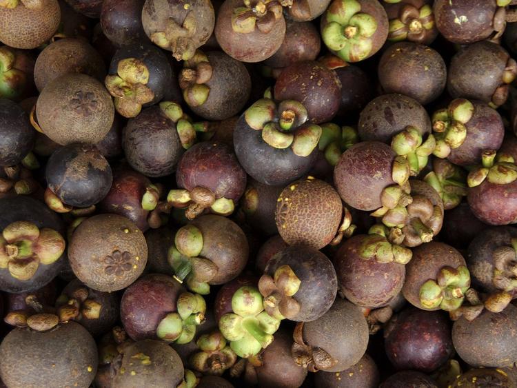 Thai Mangosteen Garden (Khun Panya Garden)