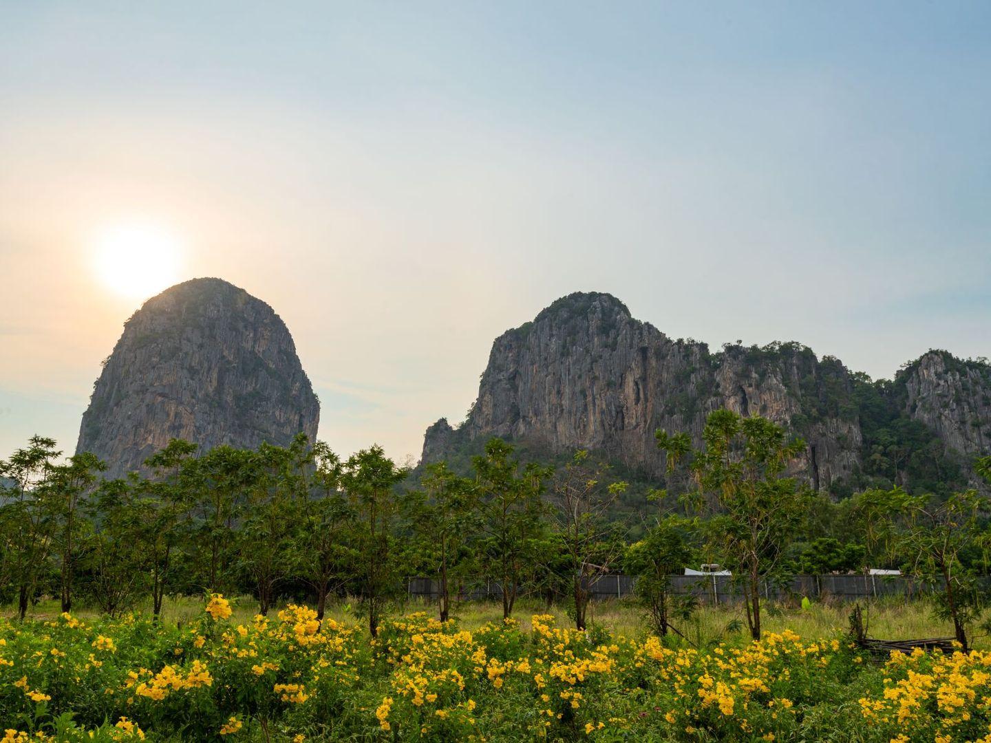 Khao Chakan Arboretum