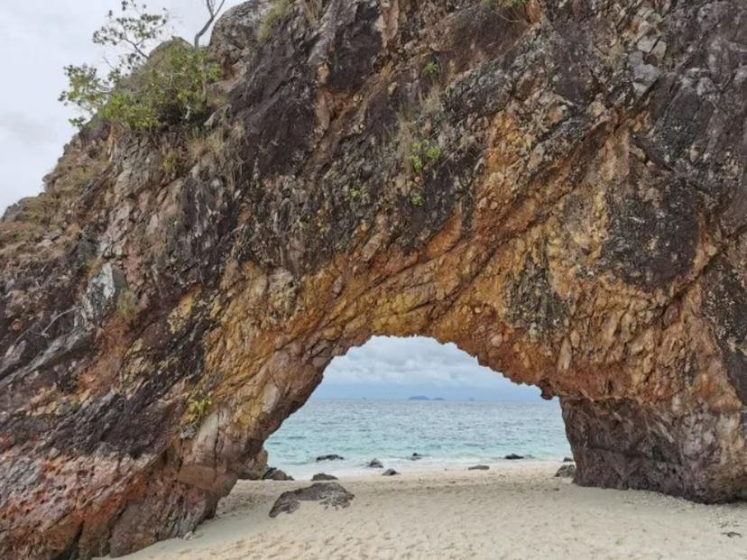 natural wedding arch