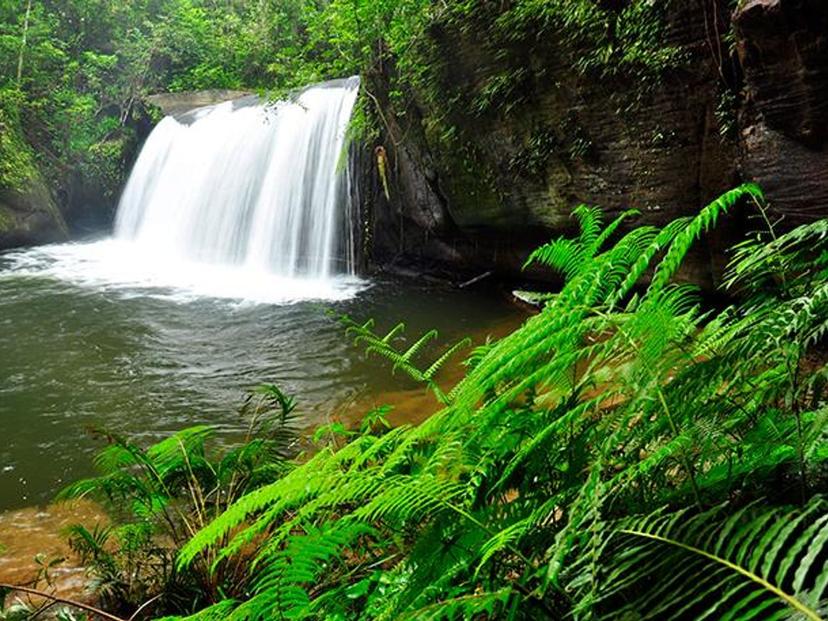 Bat Cave Waterfall