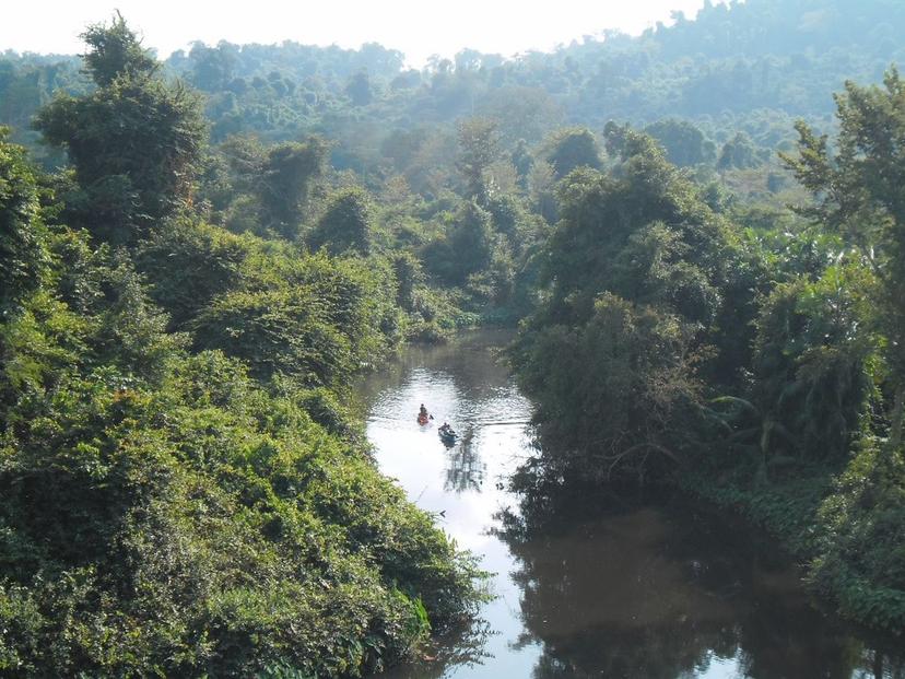 Kaeng Yai Mak freshwater crocodile habitat