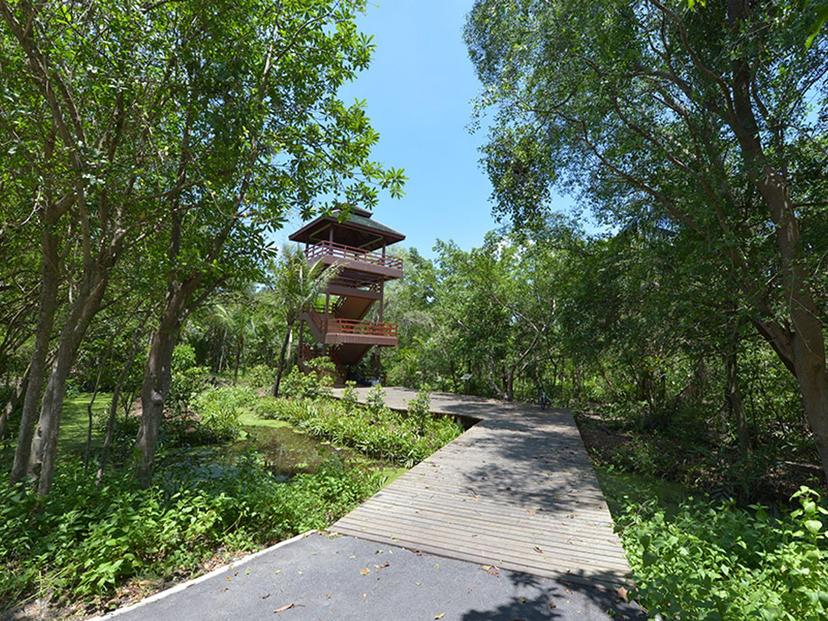 Bird Observatory, Sri Nakhon Khuean Khan Park