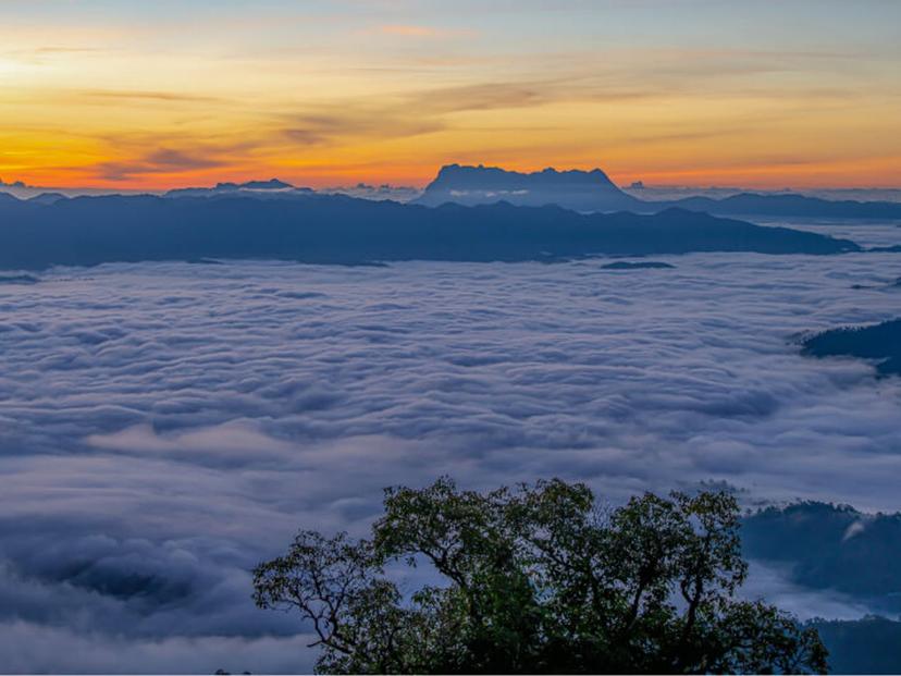 Doi Dam View Point