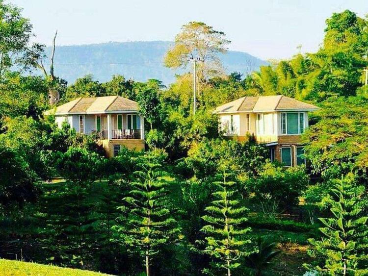 Khaoyai Nature Retreat