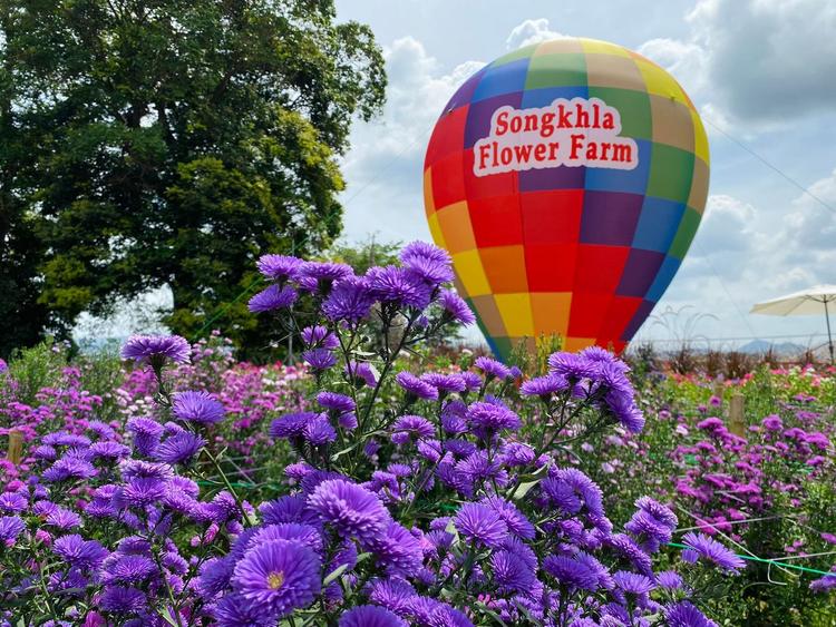 Songkhla Flower Farm