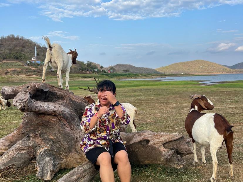 Goat Farm Behind Pran Dam