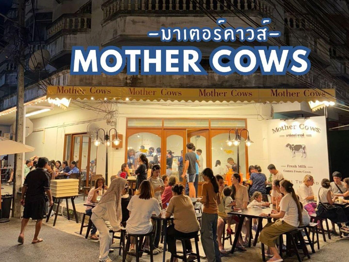 Mother Cows หาดใหญ่