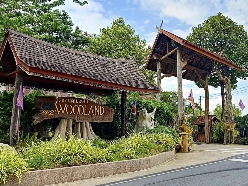 วู้ดแลนด์เมืองไม้ (Woodland)