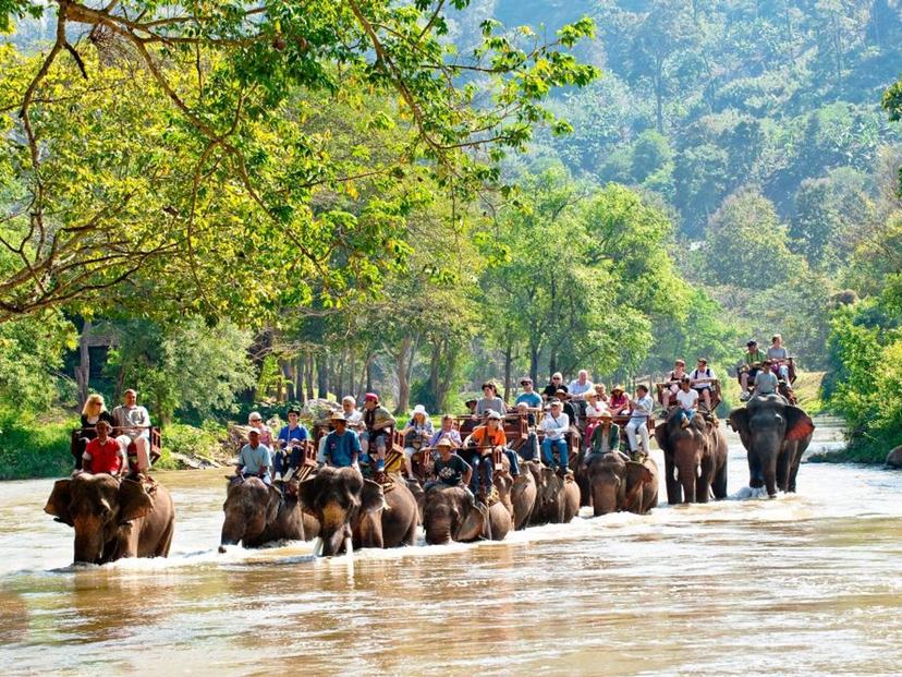 Maetang Elephant Camp