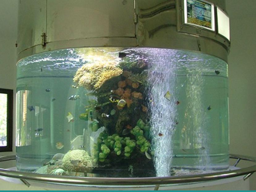 Chaloem Phrakiat Aquarium