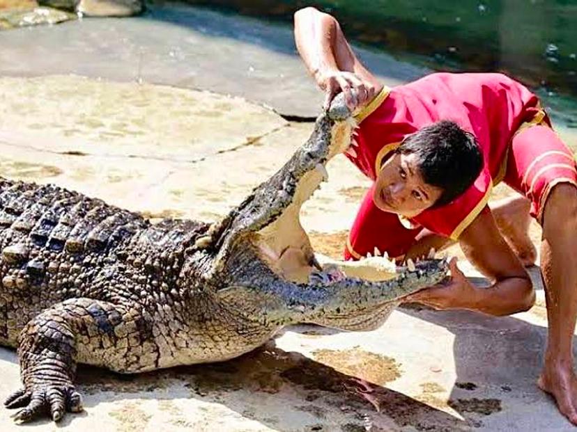 Crocodile Farm and Zoo Samut Prakan