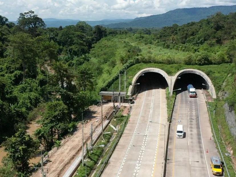 Forest Connection Tunnel