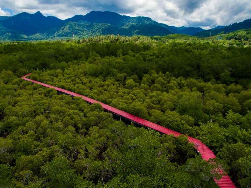 ป่าชายเลนสลักเพชร (สะพานแดง)