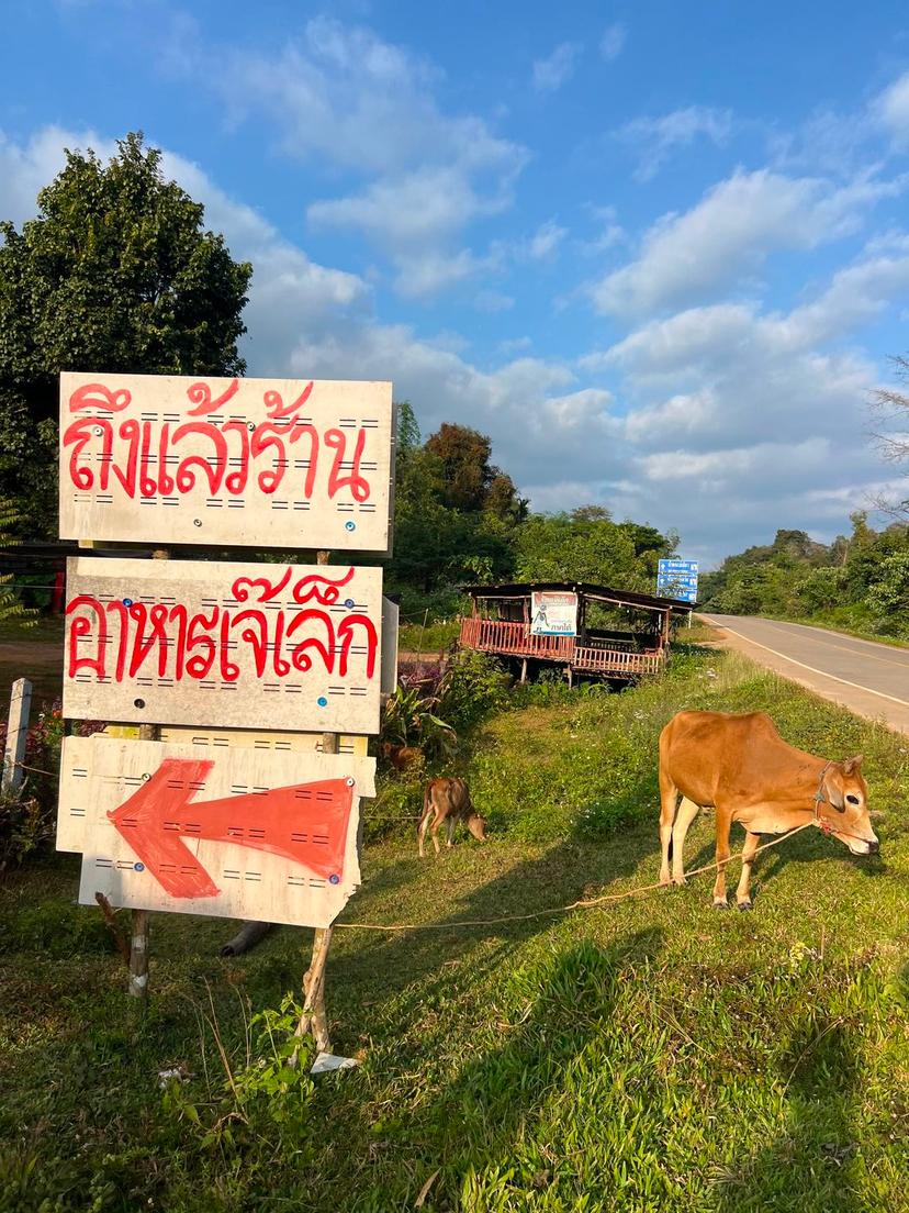 ร้านเจ๊เล็ก อาหารตามสั่ง ตาก