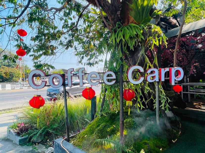 Carp Cafe เชียงใหม่